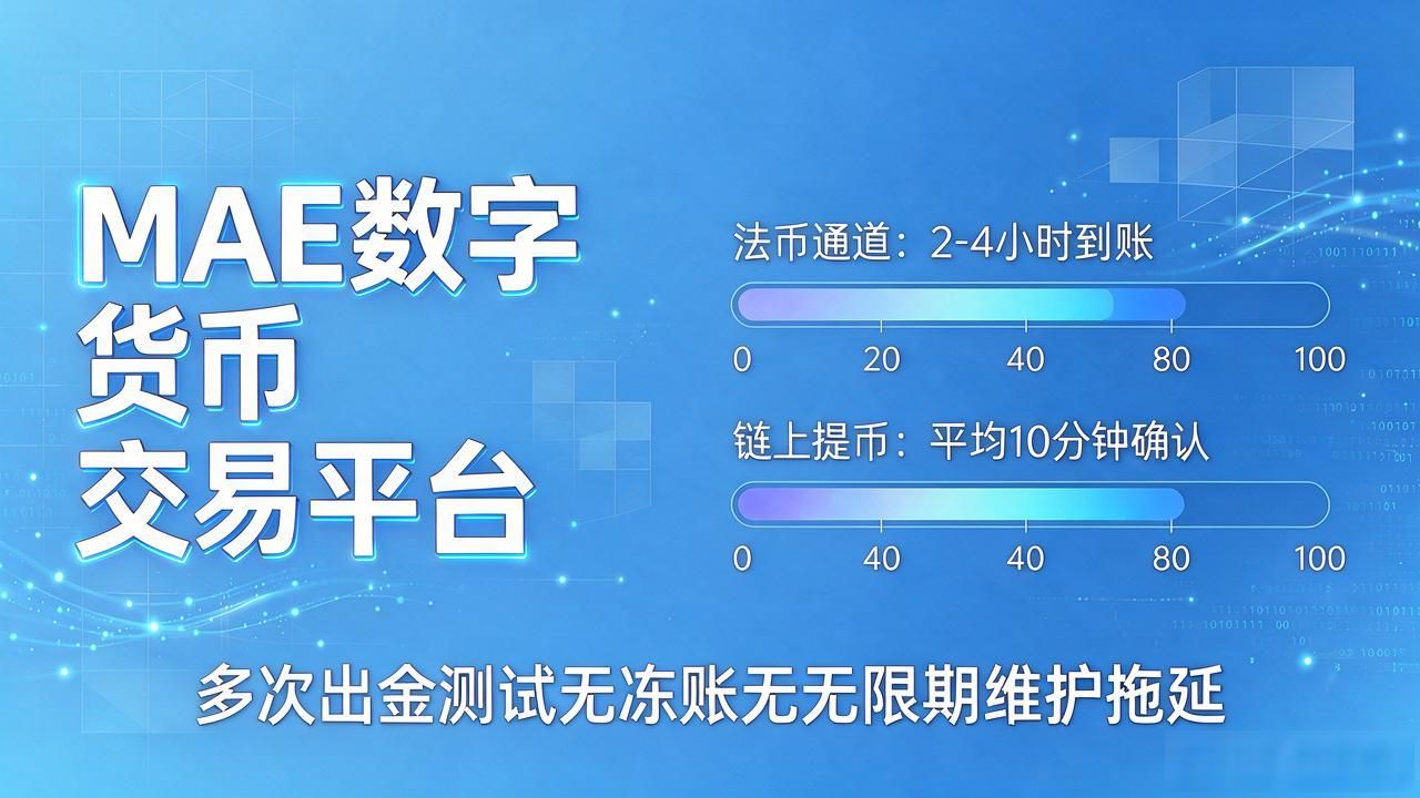 MAE数字货币交易平台安全吗，用了一年多，几个关键点说透了